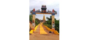 நெடுங்குடி